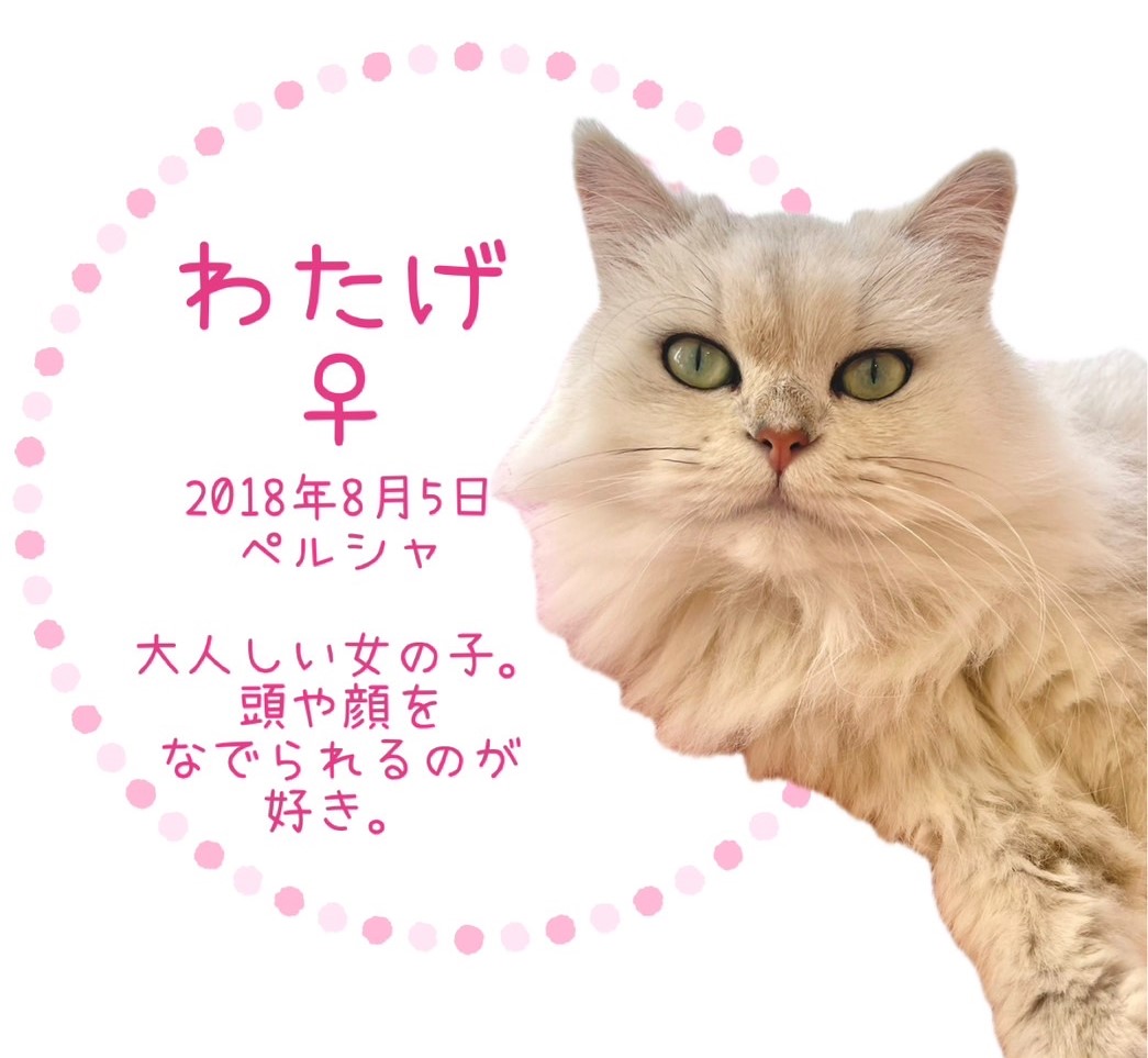 わたげ