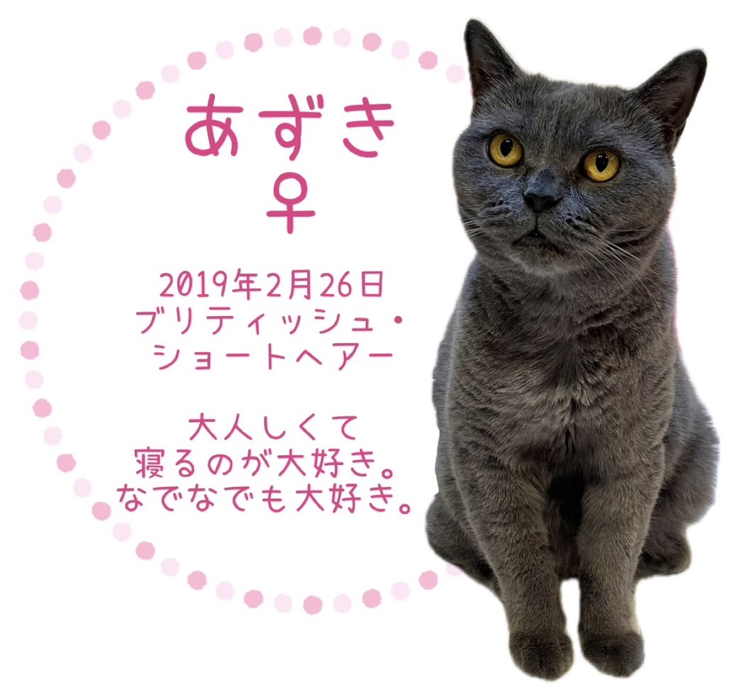 あずき