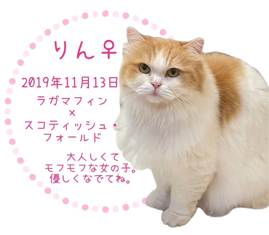 りん