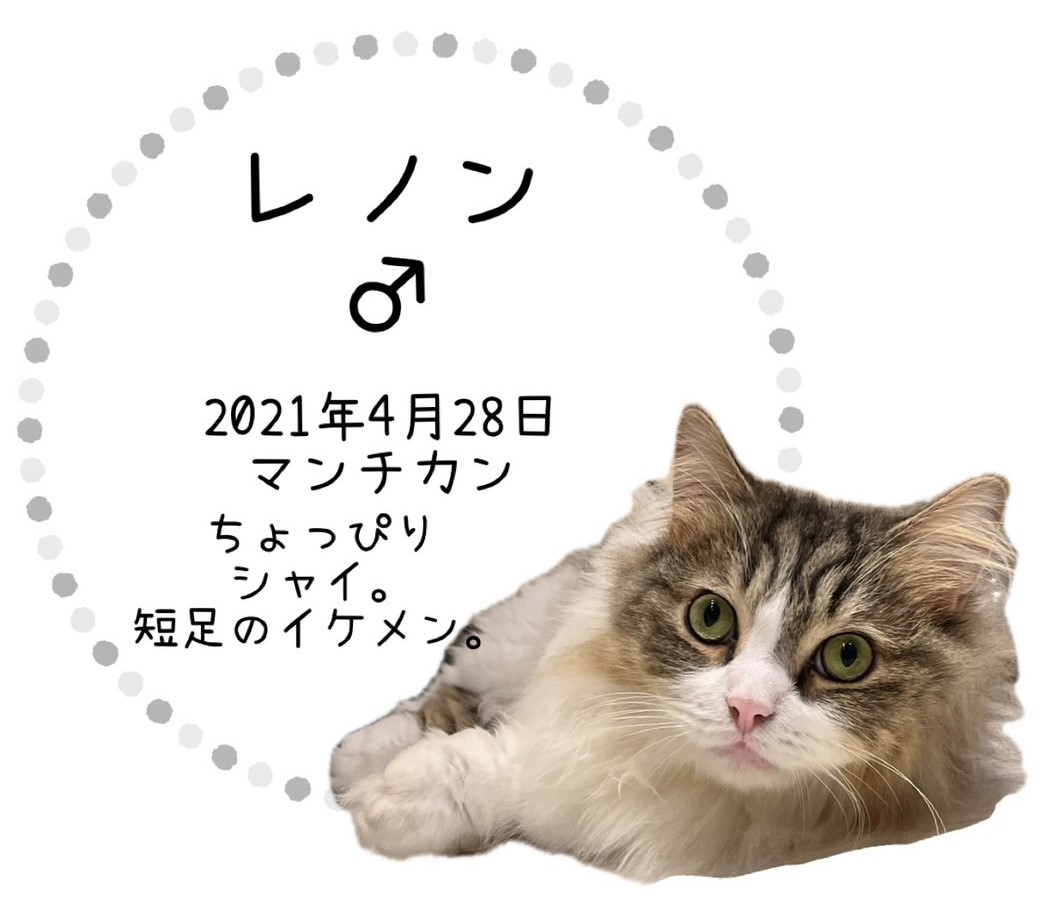 レノン