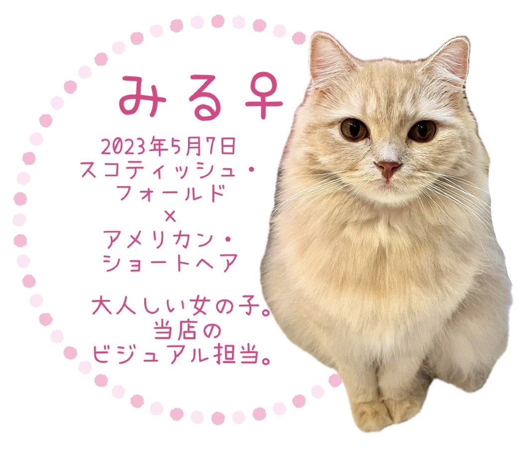 みる
