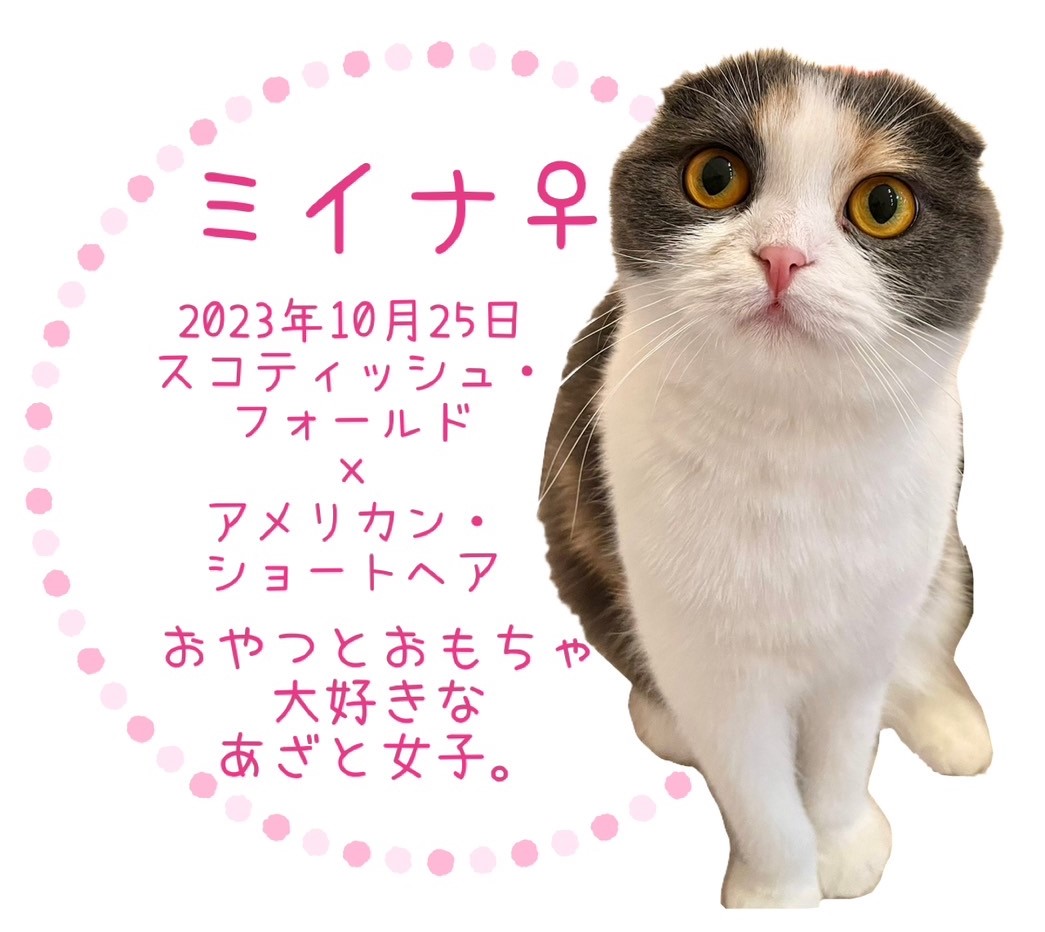 ミイナ