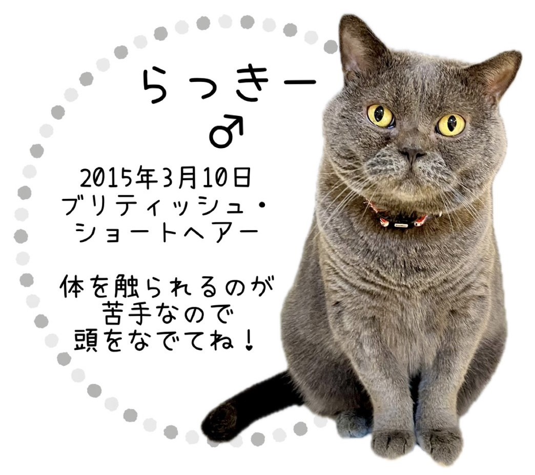 らっきー