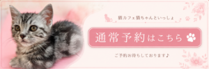 猫カフェ猫ちゃんといっしょ、通常予約