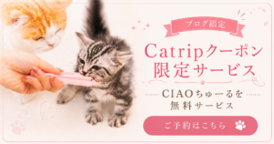 ブログ限定カリカリおやつとCIAOちゅーる付き予約プラン