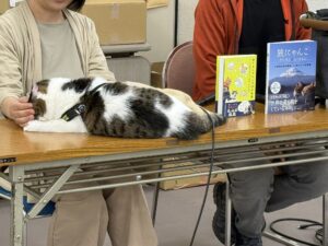 旅する猫