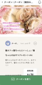 Catrip横浜、猫カフェクーポン
