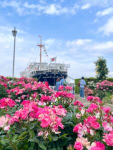 山下公園のバラと氷川丸