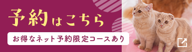 2025年2月1日以降の予約