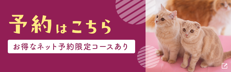 2025年2月1日以降の予約