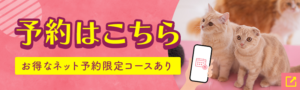 猫カフェ猫ちゃんといっしょの予約はこちら