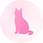 約20匹の猫ちゃん