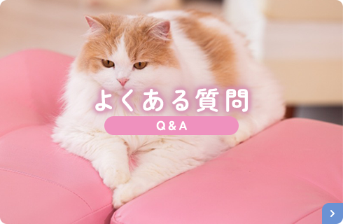 よくある質問 Q&A