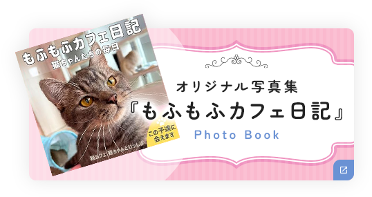 オリジナル写真集 「もふもふカフェ日記」Photo Book