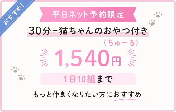 おすすめ! 平日ネット予約限定 30分+猫ちゃんのおやつ付き 1,540円 15:00まで もっと仲良くなりたい方におすすめ