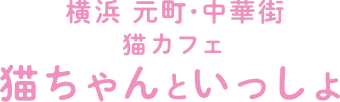 横浜 元町・中華街 猫カフェ 猫ちゃんといっしょ