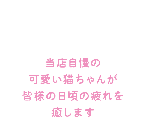 当店自慢の可愛い猫ちゃんが皆様の日頃の疲れを癒します