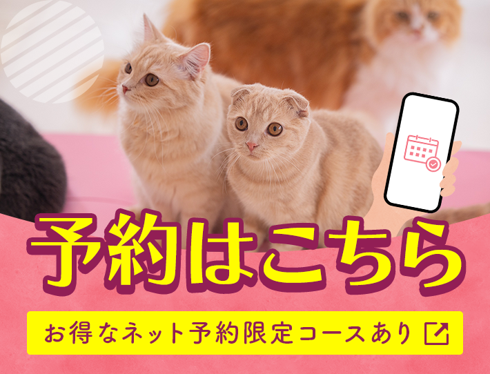 予約