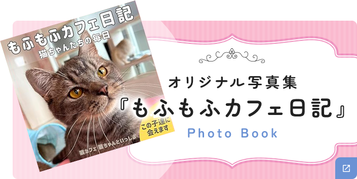 オリジナル写真集 「もふもふカフェ日記」Photo Book