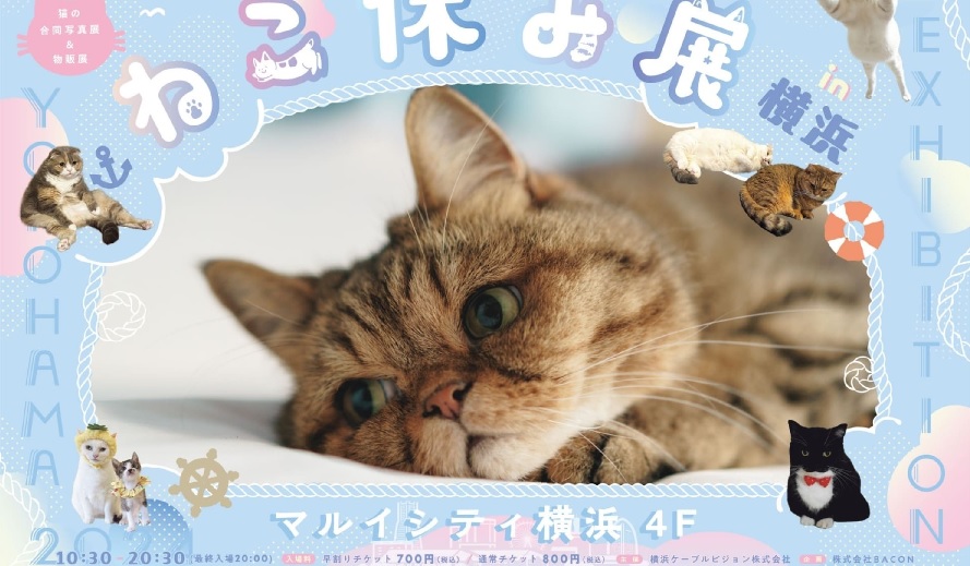 『ねこ休み展 in 横浜』 12/14(土)~12/25(水)開催(横浜ケーブルビジョンさんとBACONさん主催)