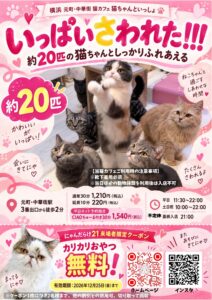 にゃんだらけ21 来場者限定クーポン付き 猫ちゃんといっしょチラシ
