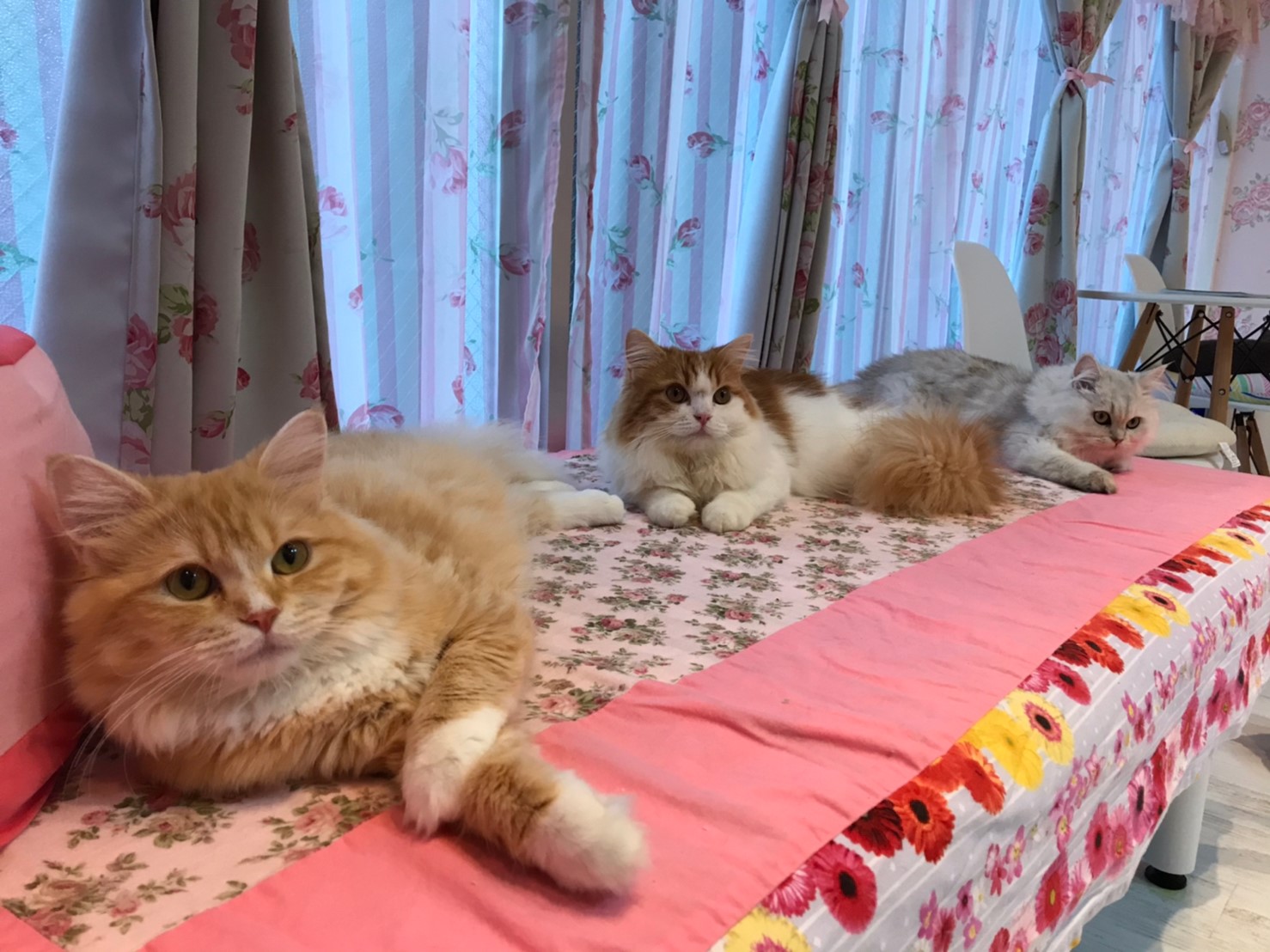 寒くなってきて、秋ですね。