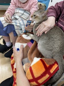 老人ホームに訪問、ワラビーくん大活躍!!!